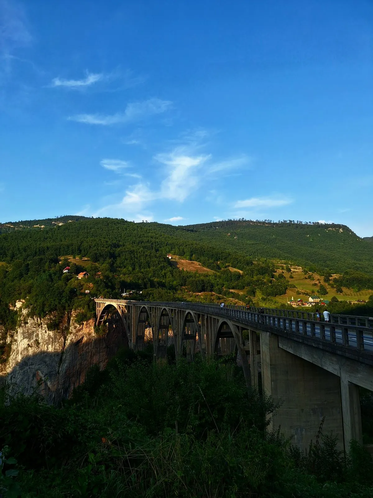 Đurđevića Tara Bridge